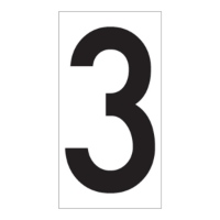 02FIG3BW2.jpg