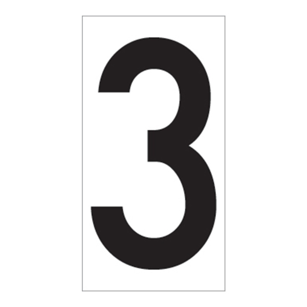 02FIG3BW2.jpg