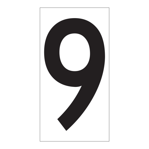 02FIG9BW2.jpg