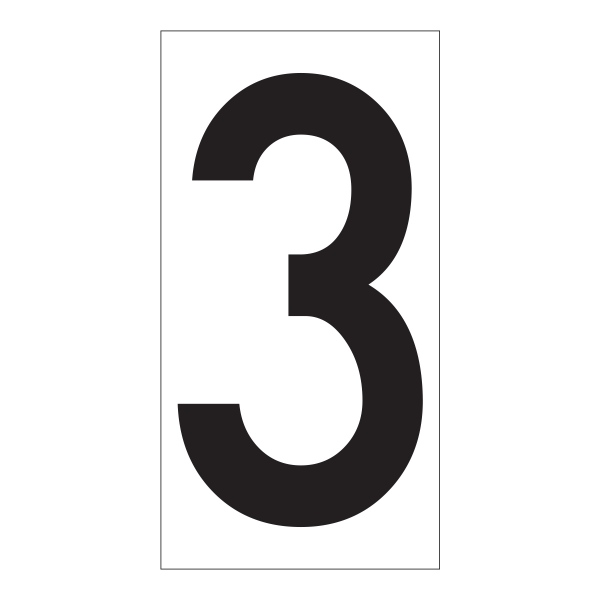 02FIG3BW4.jpg
