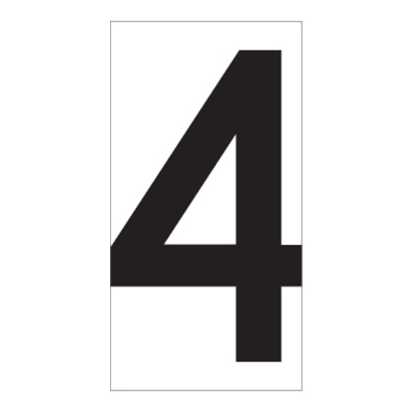 02FIG4BW2.jpg