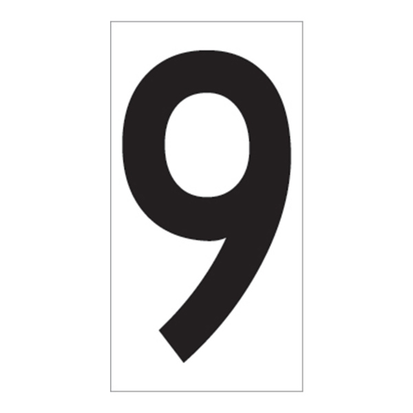 02FIG9BW4.jpg